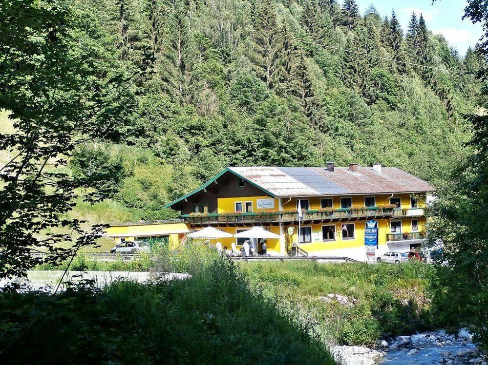 Hotel-Restaurant Bike&Snow Lederer Mühlbach am Hochkönig Exteriér fotografie